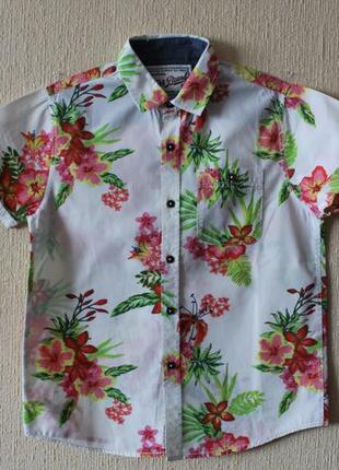 Стильная рубашка next для стильного парня