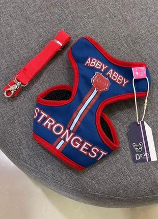 Шлея для собак abby abby тканевая под грудку с нейлоновым поводком strongest, синий