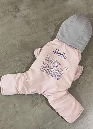 Зимовий комбінезон для собак cheepet "hello" рожевий