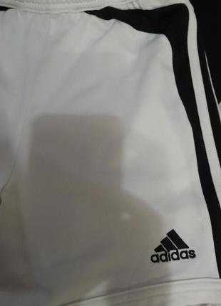 Шорти adidas climalite5 фото