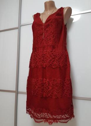 Мереживна сукня бордо3 фото
