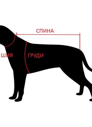 🍂 “осінній щит” - стильний жилет для собак 🐕9 фото