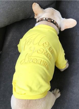 Толстовка family look для собак и владельцев с надписью follow your dream без капюшона желтого цвета