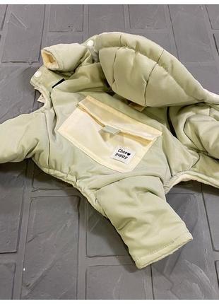 Зимний комбинезон для собак cheepet атласный с карманом, на меховом подкладе, зеленый1 фото