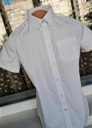 Белая рубашка для мальчика с коротким рукавом4 фото