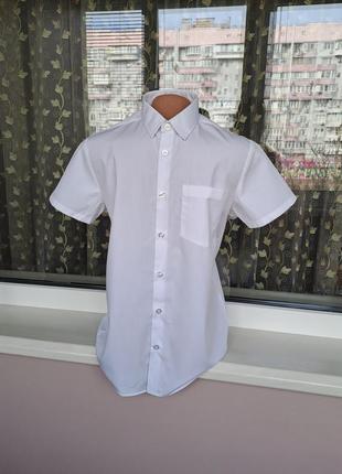 Белая рубашка для мальчика с коротким рукавом6 фото
