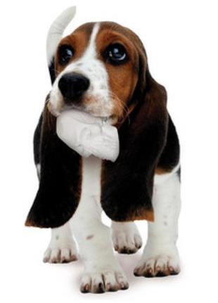 Игрушка для собак череп резиновый с канатом vip products rugged rubber, красный2 фото