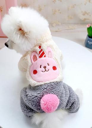 Плюшевый комбинезон для собак petcircle birthday rabbit наряд на день рождения, серый1 фото