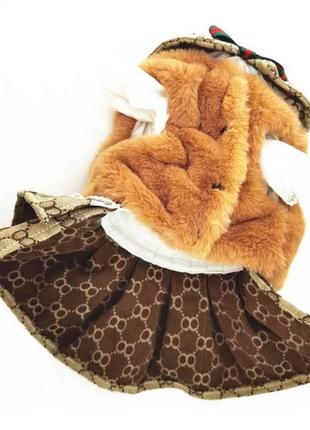Брендове плаття для собак зимове з хутряним монто, прикрашене намистинами та камінням коричневого кольору3 фото