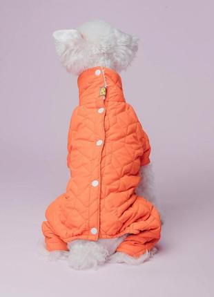 Зимний комбинезон для собак, одежда для мелких и средних пород двухстороний ispet серый/оранжевый4 фото
