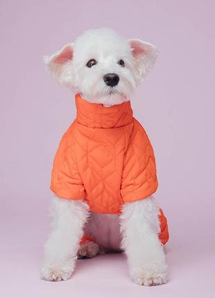 Зимний комбинезон для собак, одежда для мелких и средних пород двухстороний ispet серый/оранжевый3 фото
