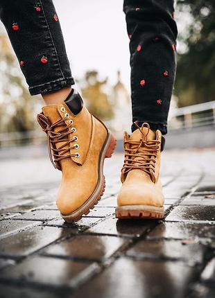 Ботинки timberland ginger черевики 2