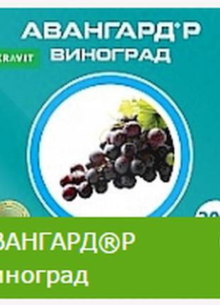 Авангард р виноград (5л)