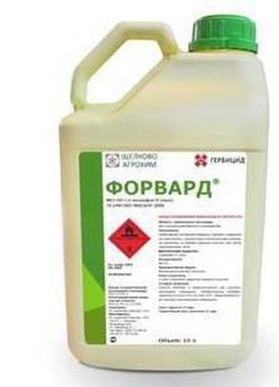 Форвард (10л)