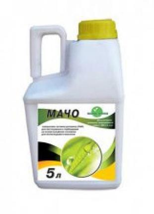 Мачо (5л)