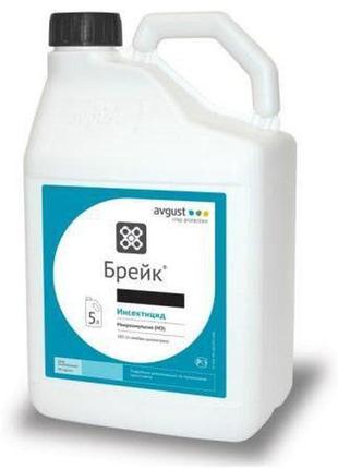 Брейк (5л)