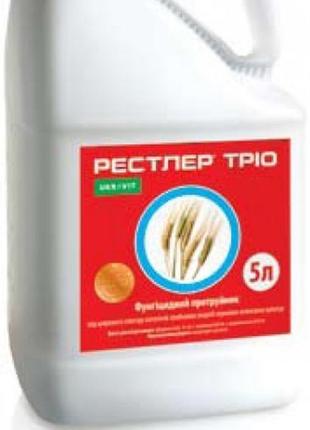 Рестлер тріо, кс (5л)