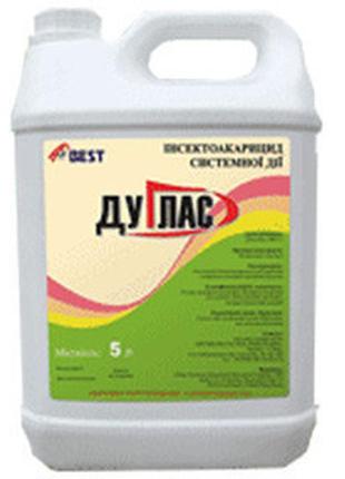 Дуглас (10л)