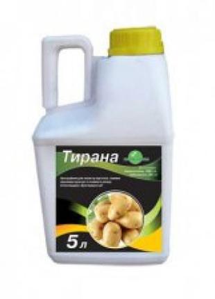 Тирана (5л)