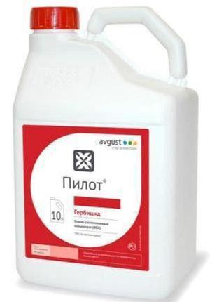 Пілот (10л)