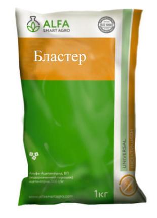Бластер (1 кг)