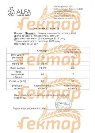 Хаммер (0,5 кг)