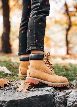 Ботинки timberland ginger черевики
