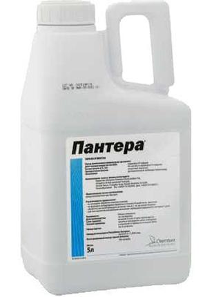 Пантера (5л)
