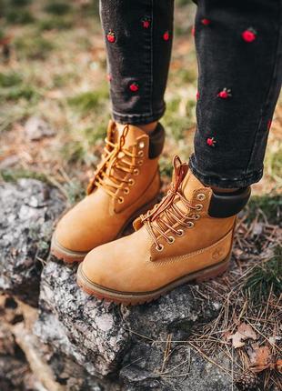 Ботинки timberland ginger черевики7 фото