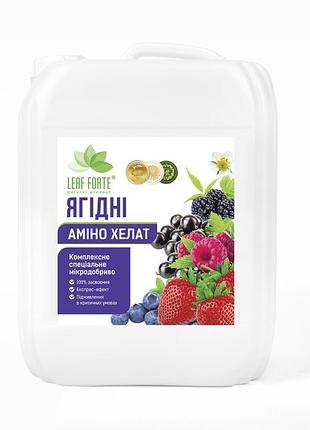 Ягідні, 10 л, комплексне мікродобриво з амінокислотами.