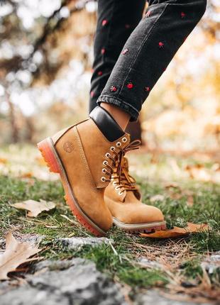 Черевики blanc timberland ginger fur черевики зимові з хутром9 фото