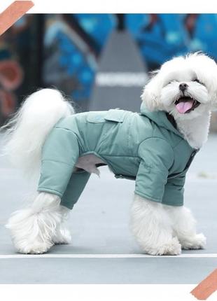 Зимовий комбінезон для собак cheepet "карман" зелений2 фото