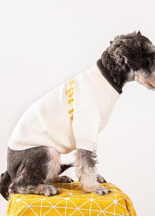 Брендовий светр для собак palm angels із золотим написом, білий4 фото
