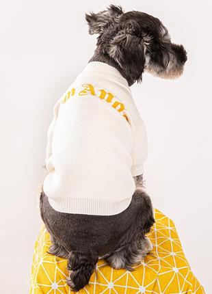Брендовий светр для собак palm angels із золотим написом, білий3 фото