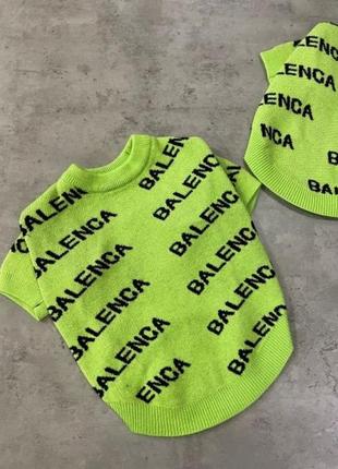 Брендовый свитер для собак balenciaga двухслойная вязка, с надписями по бокам, зеленый
