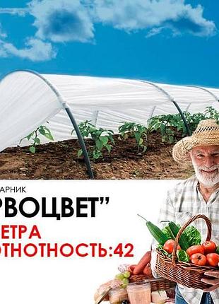 Парник арковий 3 метри 42 щільності від виробника