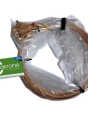 Струни для акустичної гітари cleartone acoustic light 12-53 bulk