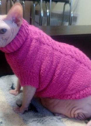 Вязаный свитер для сфинкса или собаки1 фото