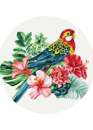 Картина за номерами папуга (розмір l), rc00058l, 40 см2 фото