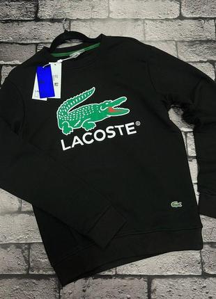 Мужской свитшот lacoste, соловичий худи, мужской батник, мужская кофта