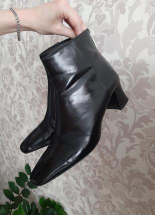 Стильні туфлі черевики на зручному товстому каблуці zara8 фото