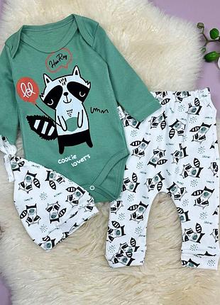 Боді комплект єнот