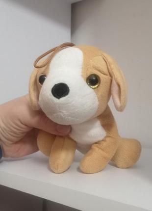Собачка пес песик цуценя 🐶 щеня собака глазастик очистик2 фото