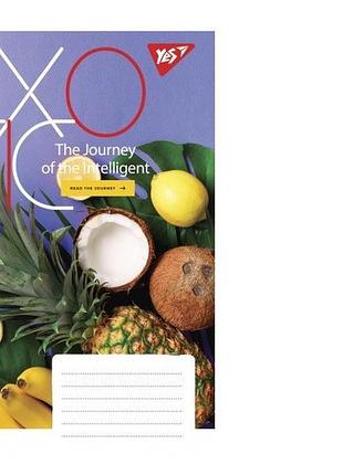 А5/24 кл. yes exotic, тетрадь учнів. 20 шт. у уп. // 765883 rish