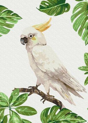 Картина за номерами: білий какаду 40*50 rbs1004 rbs1004 rish