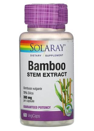 Solaray, екстракт стебла бамбука (кремній), 300 мг, 60 капсул ...