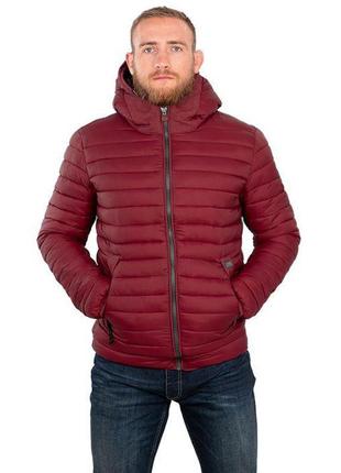 Оригінальна зимова чоловіча куртка pitbull tremont burgundy