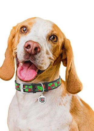 Ошейник для собак кожаный waudog design с qr паспортом, рисунок "калина"