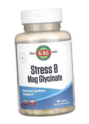 Магній гліцинат проти стресу kal stress b mag glycinate 60 капсул