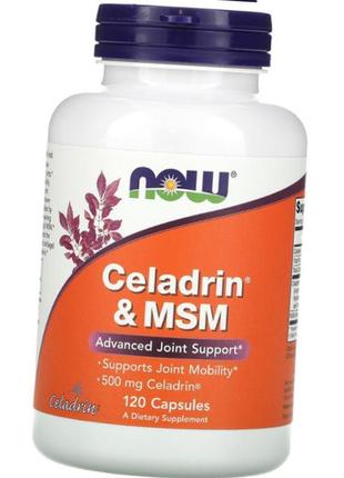 Для суглобів now celadrin msm 120 капс